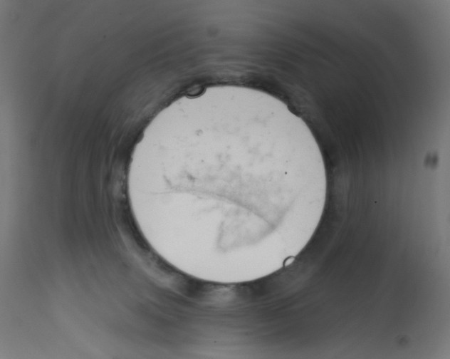 X0000112760083200909171300