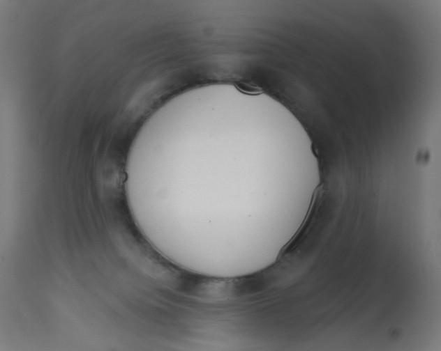 X0000112760084200909171300