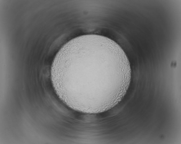 X0000112760085200909171300
