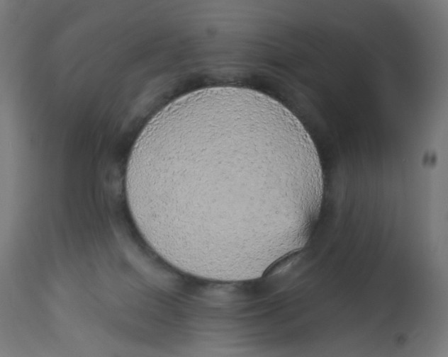 X0000112760086200909171300