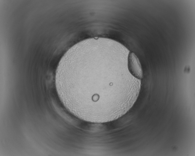 X0000112760087200909171300