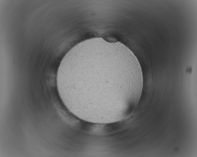 X0000112760090200909171300