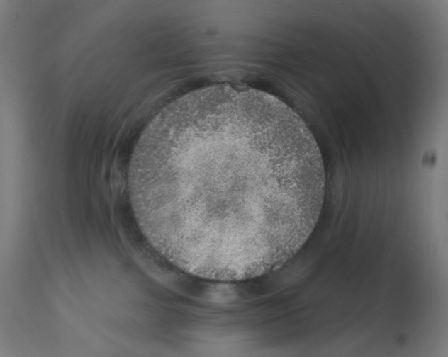 X0000112760091200909171300
