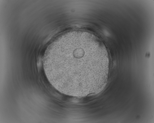 X0000112760094200909171300