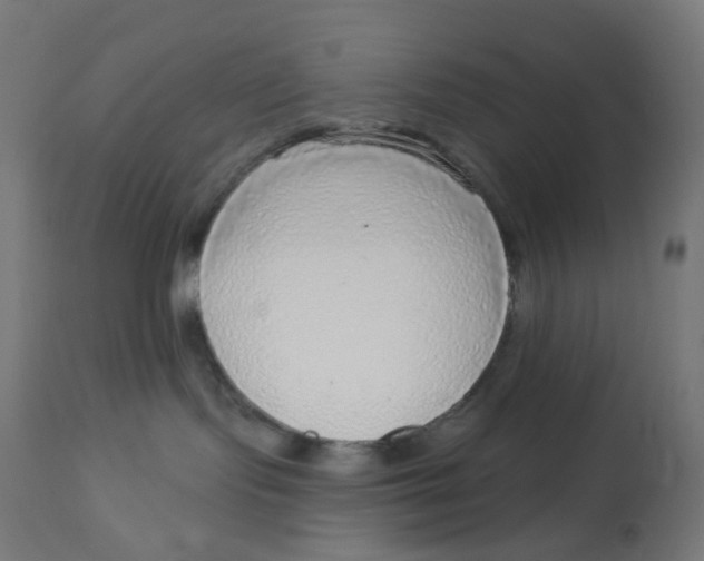 X0000112760095200909171300