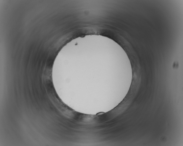 X0000112760096200909171300