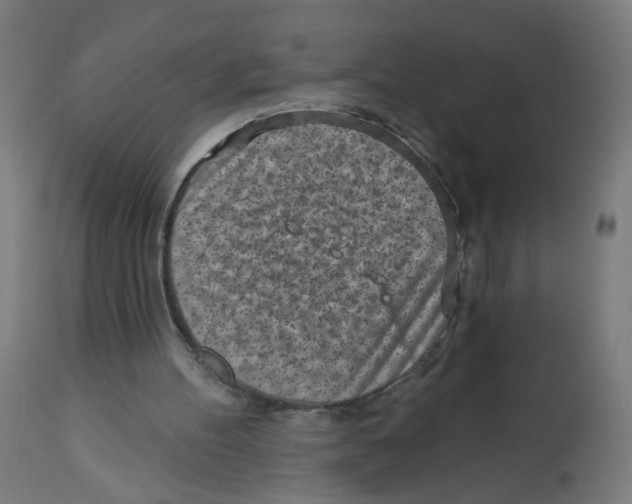 X0000112760100200909171259