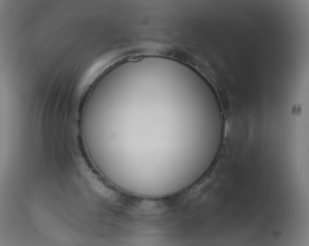 X0000112760101200909171259