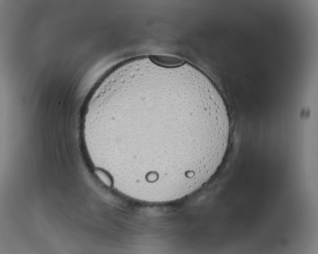 X0000112760103200909171259