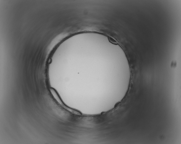X0000112760104200909171259