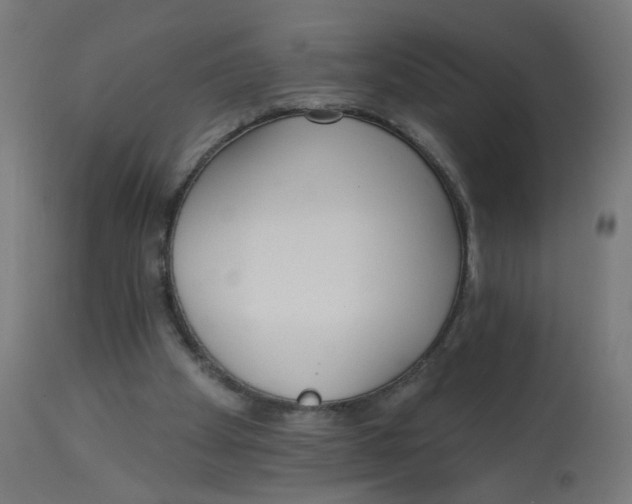 X0000112760105200909171259