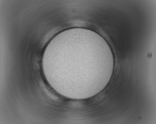 X0000112760106200909171259