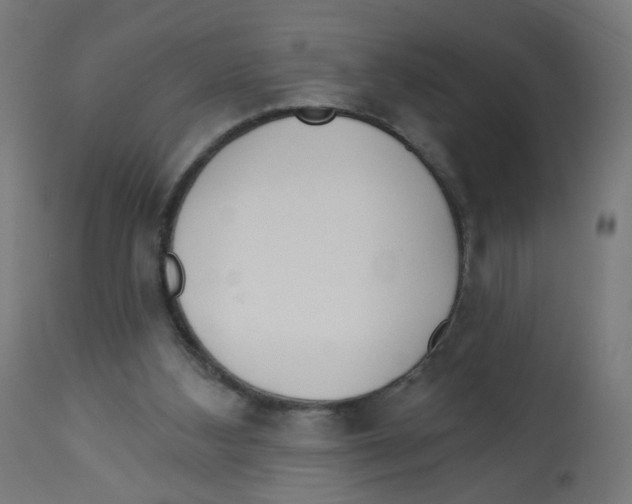 X0000112760108200909171259