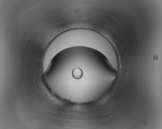 X0000112760109200909171259