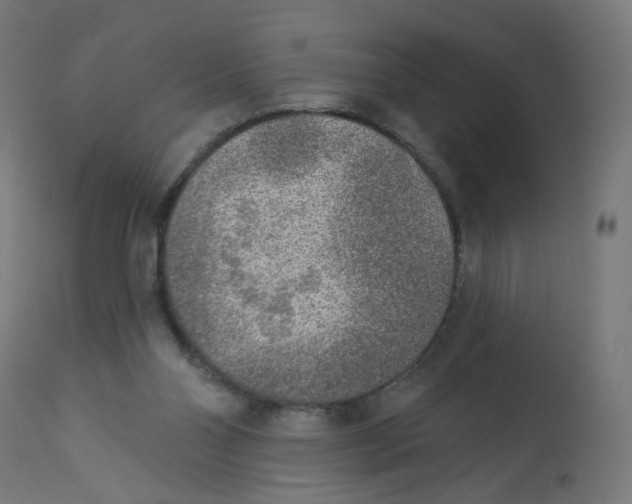 X0000112760110200909171259