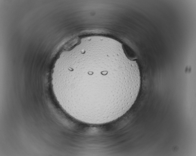 X0000112760111200909171259