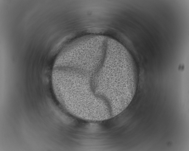 X0000112760114200909171258
