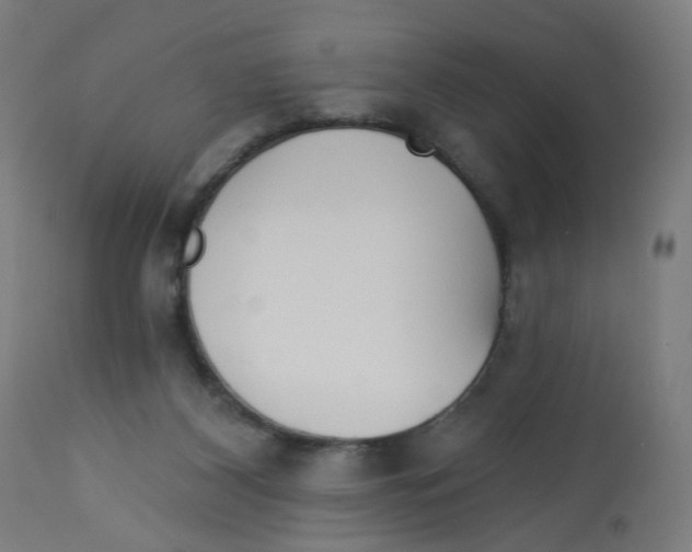 X0000112760116200909171258
