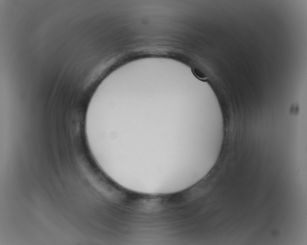 X0000112760120200909171258