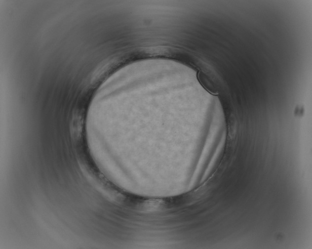 X0000112760124200909171258