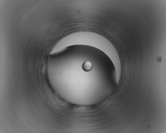 X0000112760129200909171258