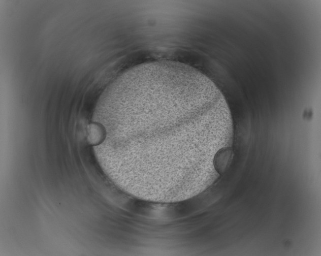X0000112760130200909171258