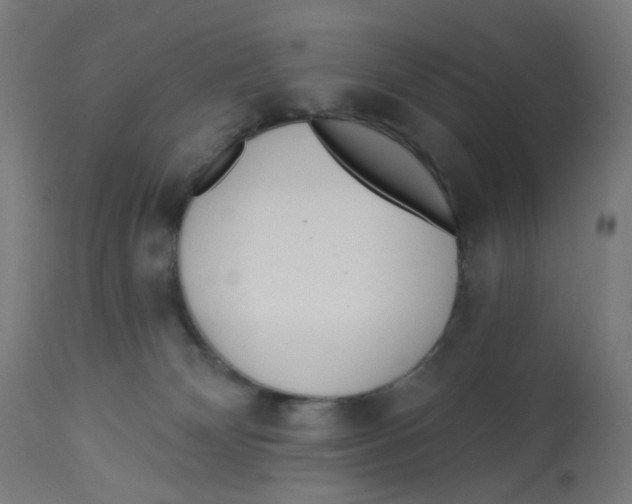 X0000112760132200909171258