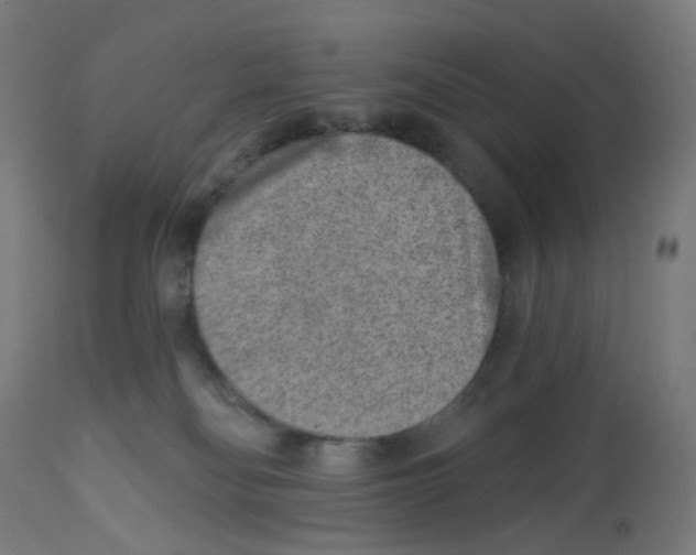 X0000112760134200909171258