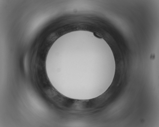 X0000112760140200909171258