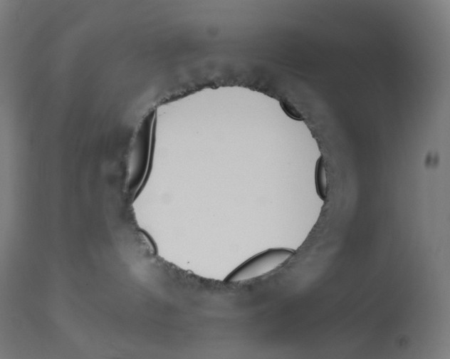 X0000112760144200909171258