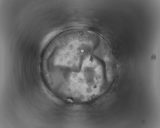 X0000112760149200909171257