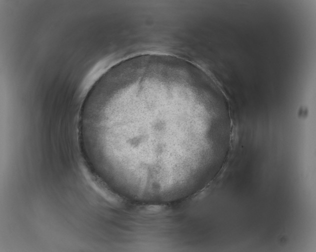 X0000112760151200909171257