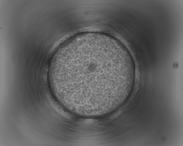 X0000112760153200909171258