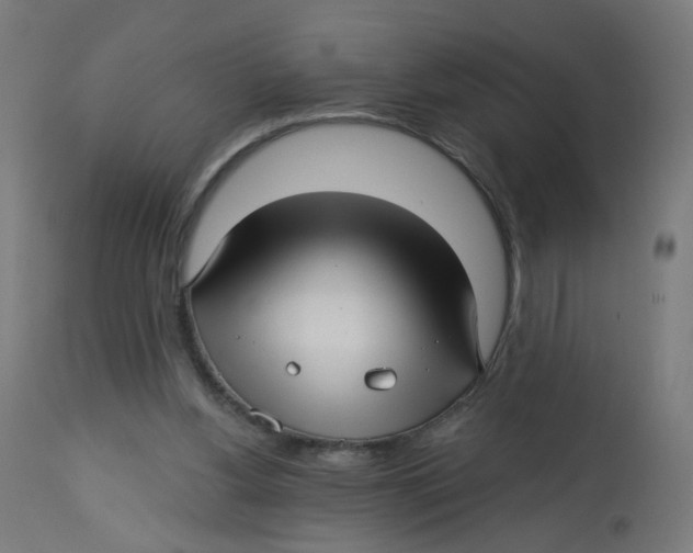 X0000112760156200909171258