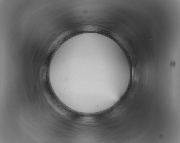 X0000112760157200909171258