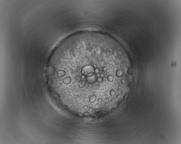 X0000112760159200909171258