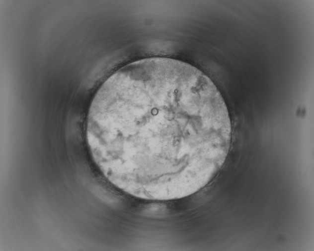 X0000112760162200909171258