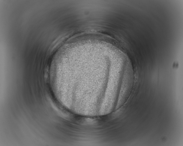 X0000112760166200909171258