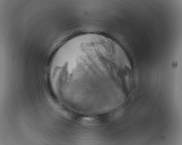 X0000112760167200909171258