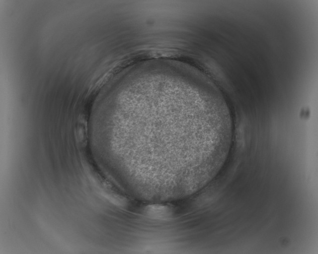 X0000112760169200909171258