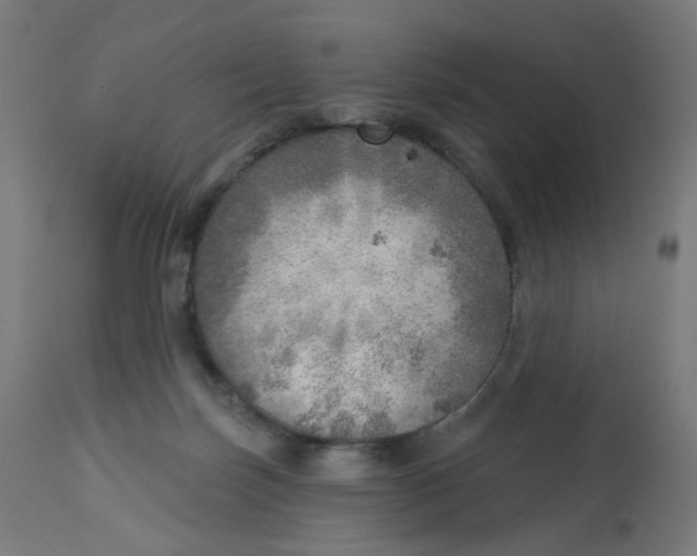 X0000112760171200909171258