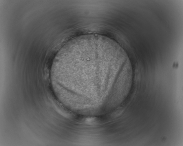 X0000112760173200909171258
