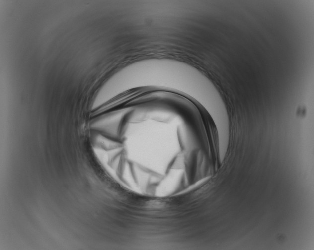 X0000112760176200909171258