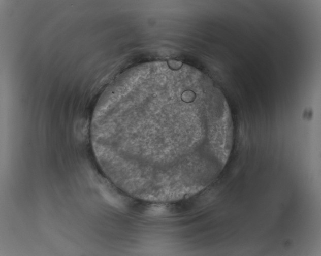 X0000112760177200909171258