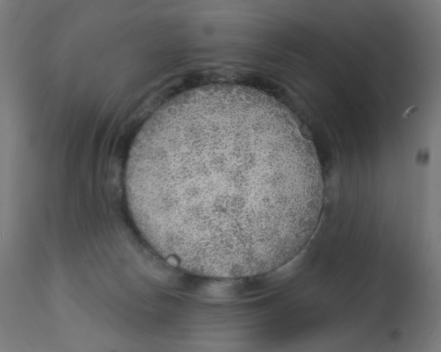 X0000112760178200909171258