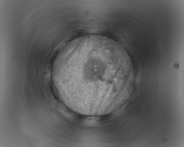 X0000112760179200909171258
