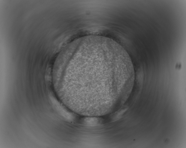 X0000112760181200909171258