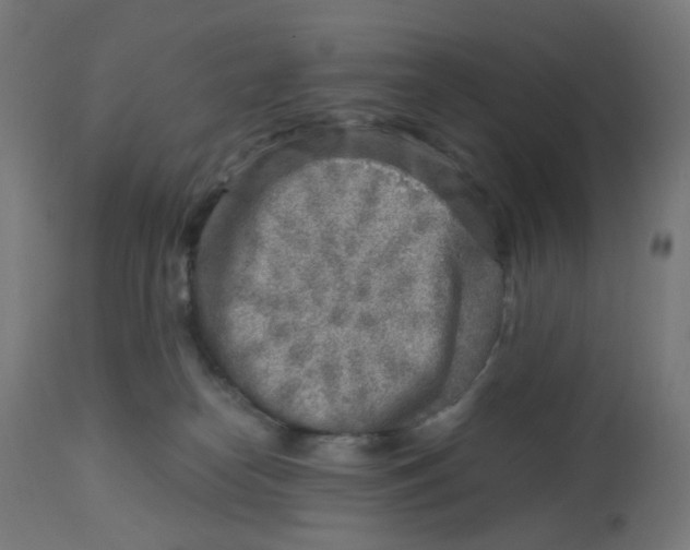 X0000112760182200909171258
