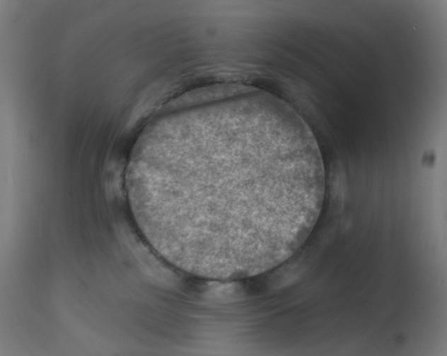 X0000112760185200909171258