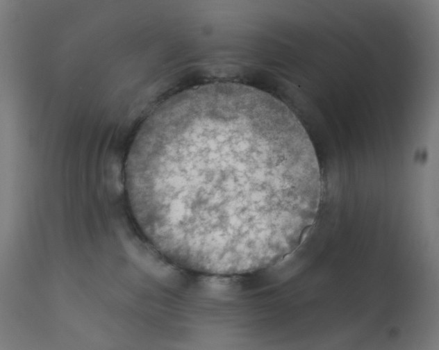 X0000112760187200909171258
